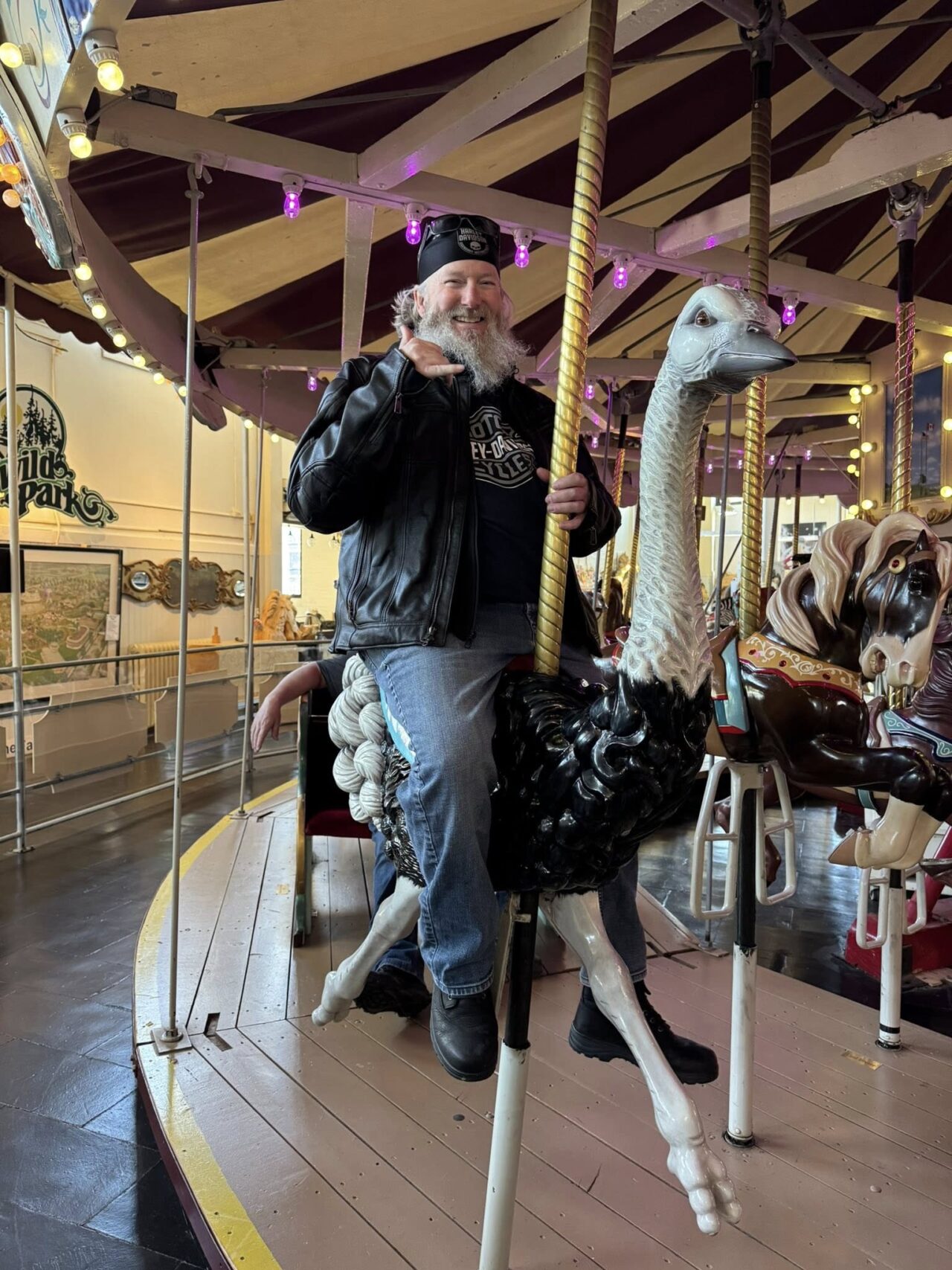 Merry go round museum