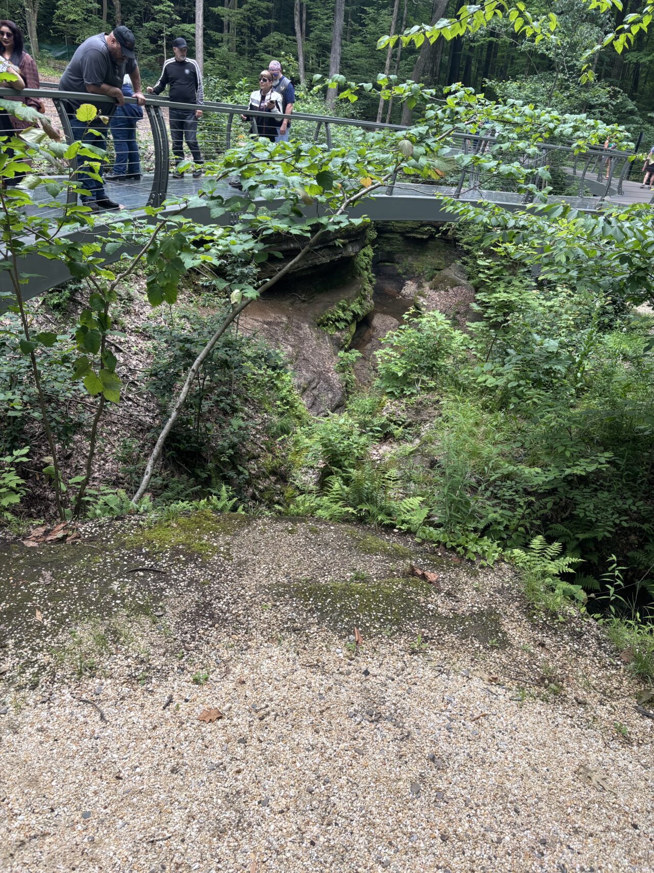 Nelson Ledges